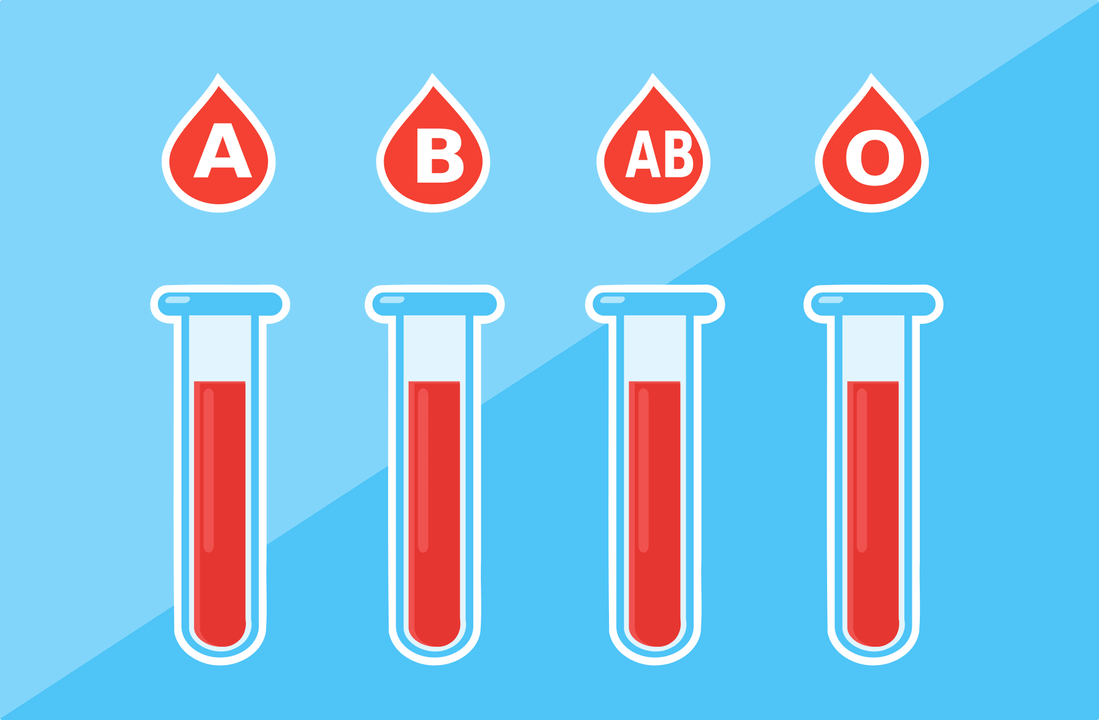 Постоје 4 крвне групе - А, Б, АБ, О